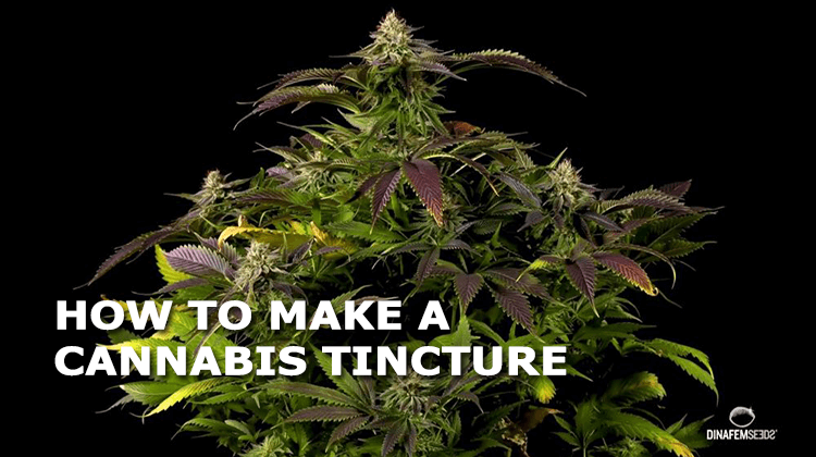 how to make a cannabis tincture 1