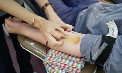 can you donate plasma if you smoke weed