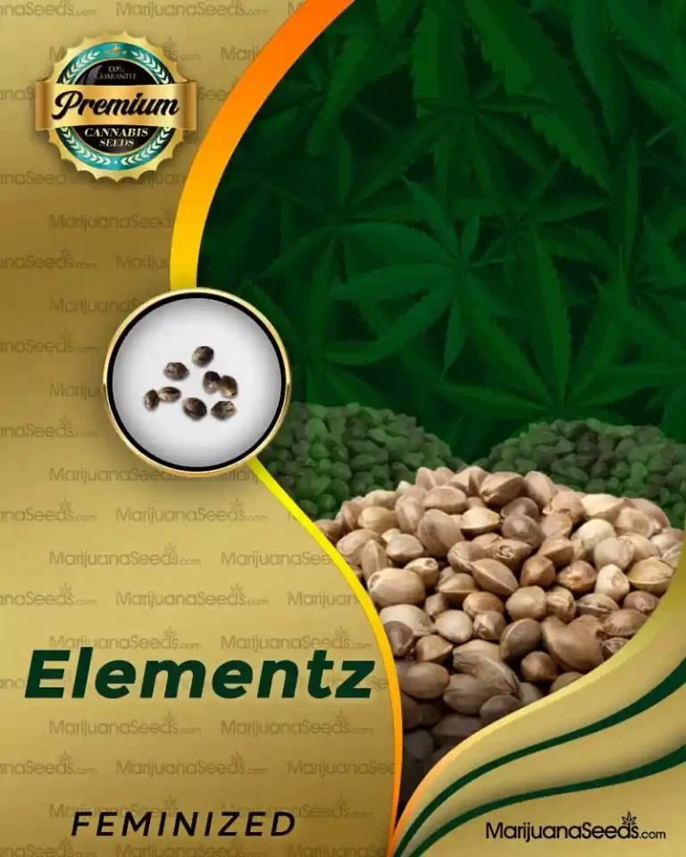 Elementz Strain