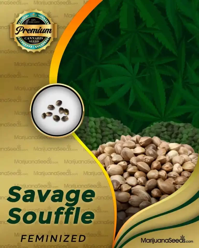 Savage Soufflé Strain