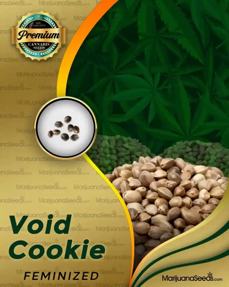 Void Cookie Strain