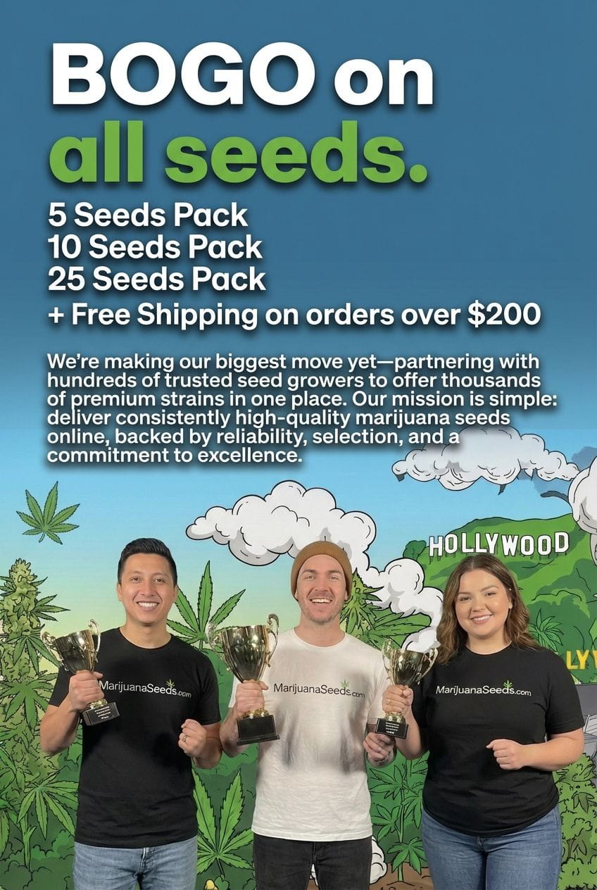 BOGO Sale Marijuanaseeds Mobile (1)